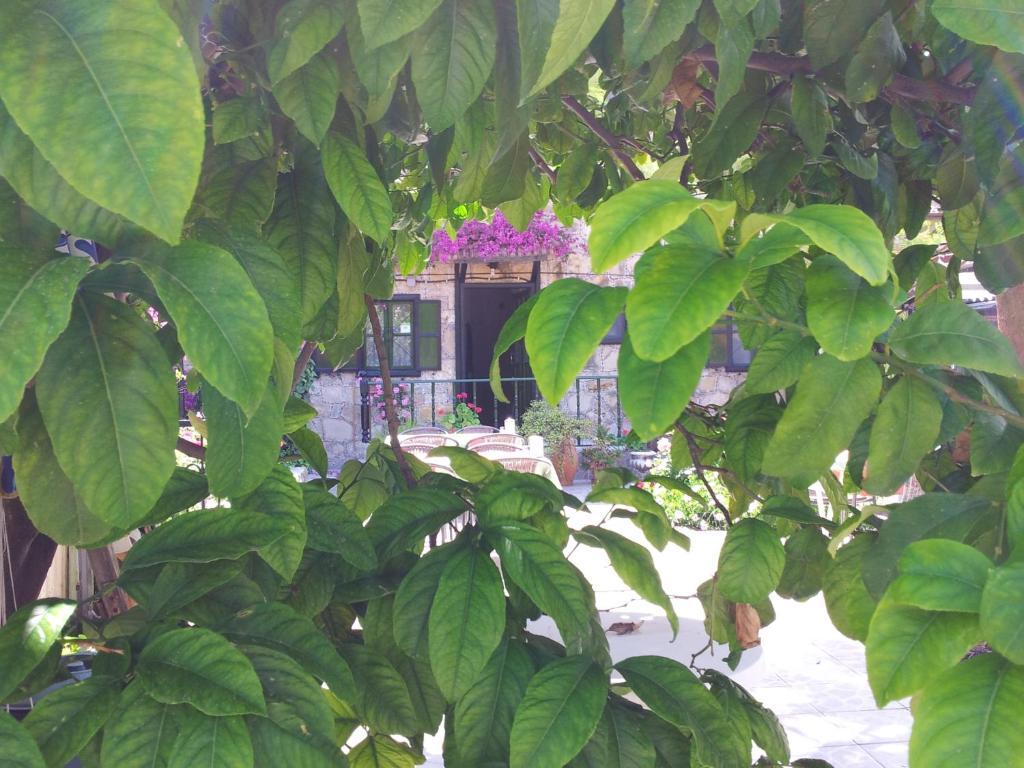 Akasya Hotel (Adults Only) Side Luaran gambar